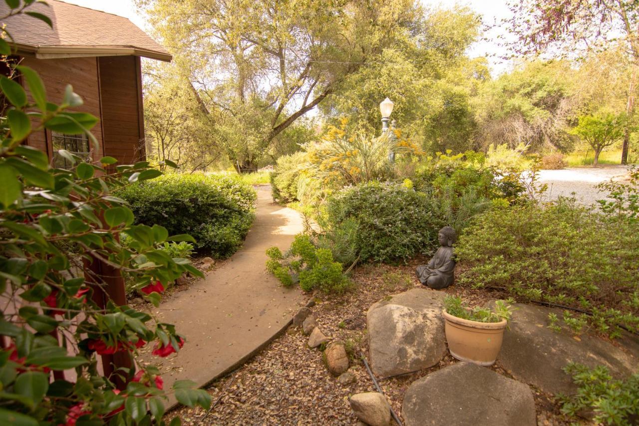 Вилла Sequoia South Fork Retreat Три-Риверс Экстерьер фото