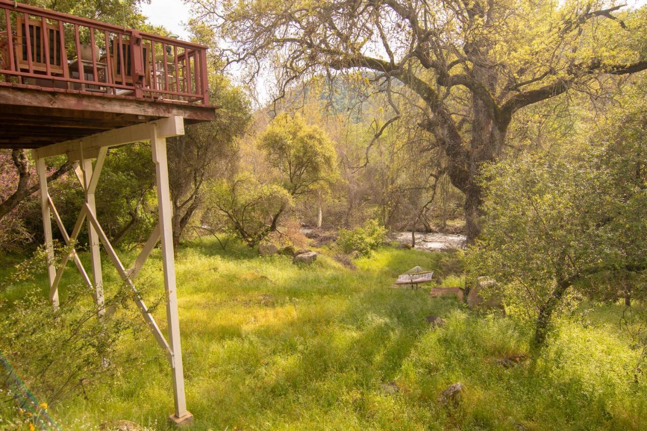Вилла Sequoia South Fork Retreat Три-Риверс Экстерьер фото